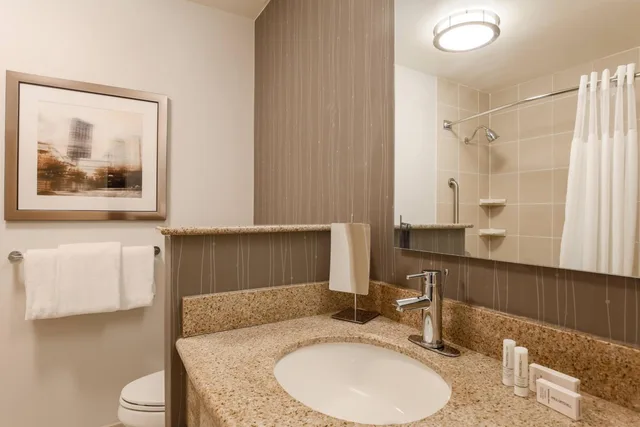 Room, King Bed, Bathtub, Accessible, Courtyard by Marriott Pittsburgh Downtown 5/10