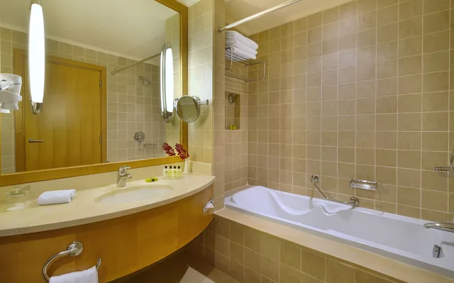 غرفة قياسية بسرير مزدوج، Intercontinental Aqaba 8/8