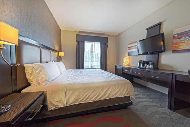 غرفة قياسية بسرير فردي، Holiday Inn & Suites Houston West - Westway Park, an IHG Hotel 5/9