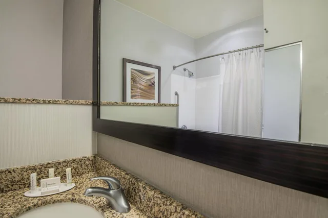 غرفة بسرير كينج مع أريكة بحوض استحمام لذوي الإعاقة، Courtyard By Marriott Waldorf 8/8