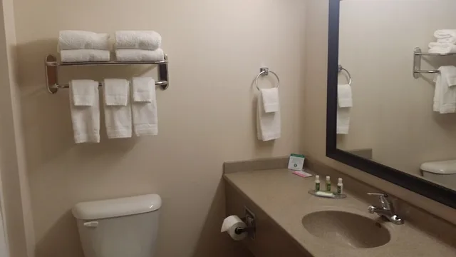 غرفة ديلوكس، GrandStay Hotel & Suites Parkers Prairie 3/3