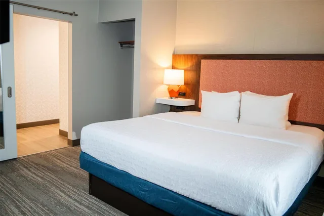 جناح بسرير كينج مع أريكة بمطبخ، Hampton Inn Gonzales 1/6