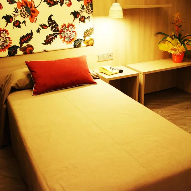 غرفة مفردة، Hotel Ginebra 3/10