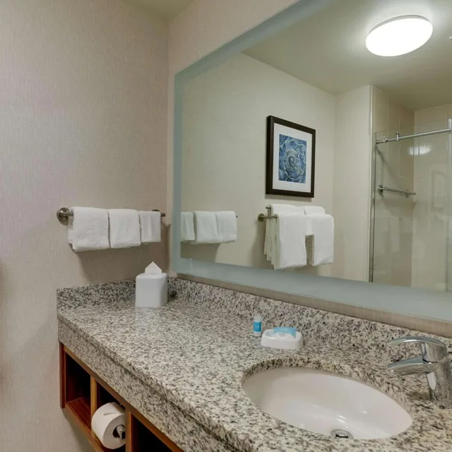 Suite, Queen Bed, Fireworks View, Sofa، Drury Plaza Hotel Orlando - Disney Springs Area 3/3