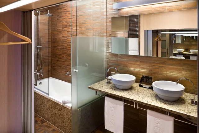 غرفة قياسية بسرير مزدوج، Melia Madrid Princesa Hotel 9/10
