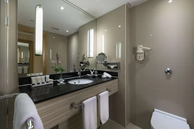 جناح تنفيذي بسرير كينج مع دخول الصالة، Radisson Blu Heliopolis 3/3