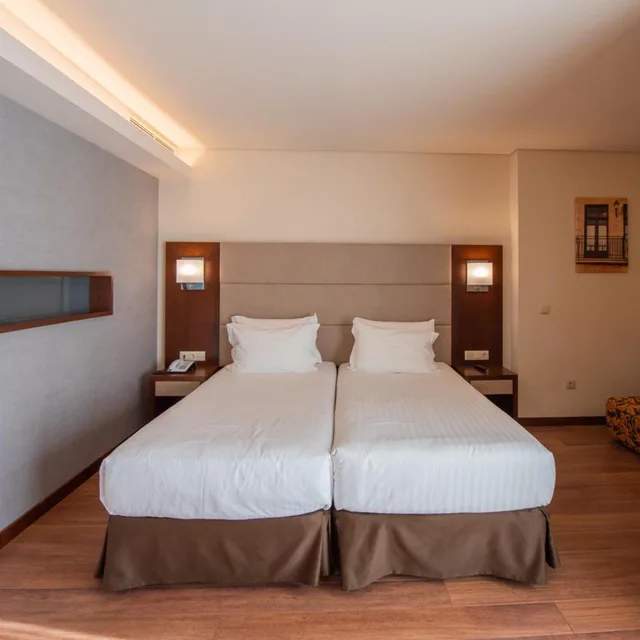 1 Bedroom, Apartment, Eurostars Oporto 3/9