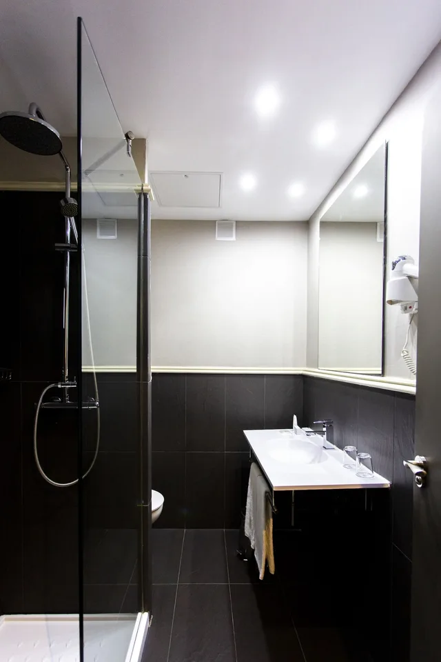 غرفة قياسية بسريرين منفصلين، Hotel Pax Guadalajara 7/7