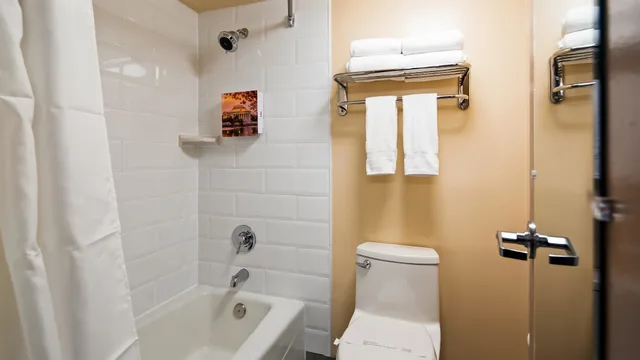 Standard, King Bed, Best Western Springfield 4/5