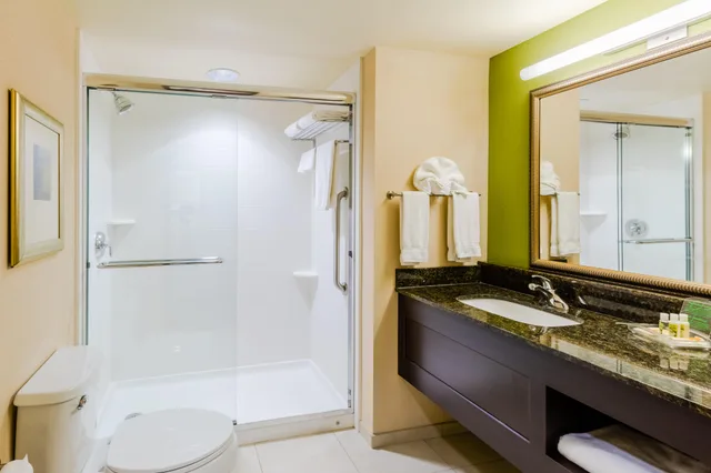 جناح بسرير كينج، Holiday Inn Hotel Suites Atlanta Airport North 5/6