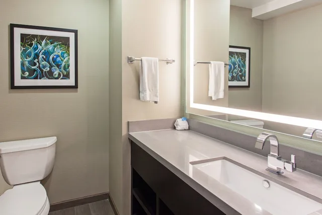 جناح بسرير كينج بإطلالة على المدينة بغرفة نوم واحدة، Holiday Inn Express Hollywood Walk of Fame An Ihg Hotel 3/4