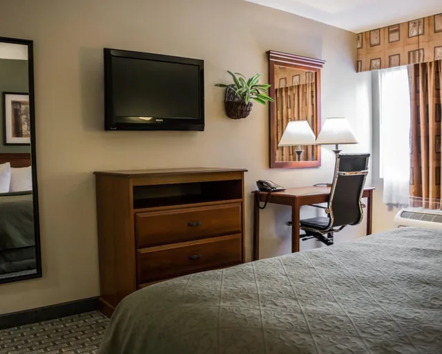 غرفة قياسية بسرير كينج، Quality Inn & Suites Tampa near Fairgrounds and Casino 6/10