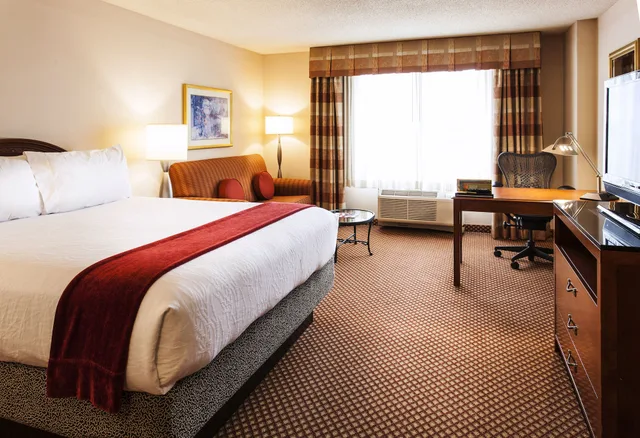 غرفة كومفورت بسرير كينج لذوي الإعاقة، Hilton Garden Inn Denver Airport 2/6