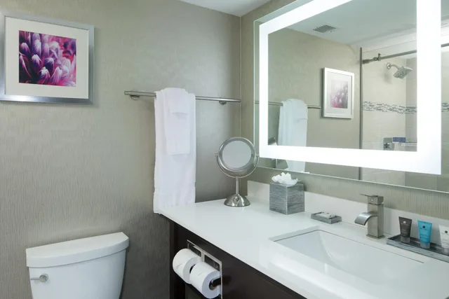 جناح جونيور بسرير كينج بحوض جاكوزي لذوي الإعاقة، Crowne Plaza Chicago Sw Burr Ridge 4/6