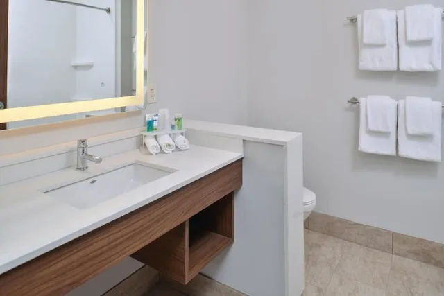 جناح بسريرين منفصلين لذوي الإعاقة، Holiday Inn Express Suites Farmington Hills Detroit 3/4