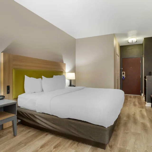 جناح بسرير كينج بغرفة نوم واحدة بحوض جاكوزي، Comfort Suites Shenandoah-The Woodlands 1/4