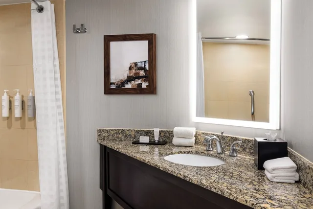 جناح بسرير كينج بشرفة مع أريكة لذوي الإعاقة، Embassy Suites by Hilton Birmingham 9/10