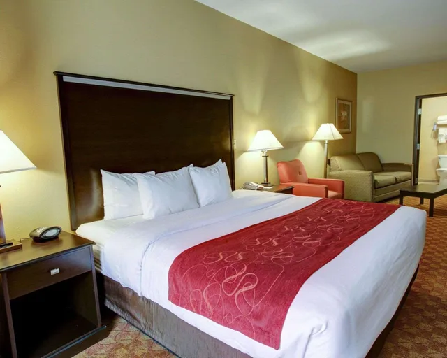 جناح بسرير كينج، Comfort Suites Old Town Spring, TX 7/10