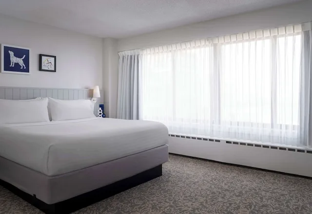 جناح بسرير كينج بغرفة نوم واحدة مع أريكة، Sonesta ES Suites Chicago Downtown Magnificent Mile 2/7