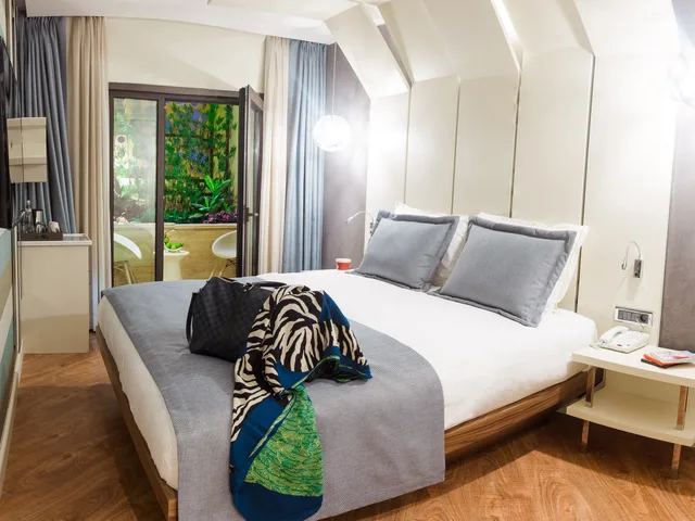 غرفة تنفيذية بسرير مزدوج، Maroon Hotel Pera 1/1