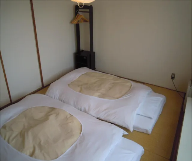 غرفة يابانية بفرشتي فوتون، Niigata Park Hotel 2/2