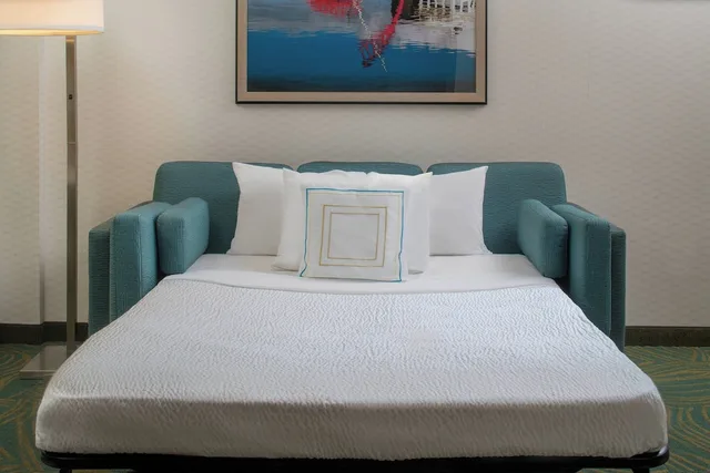 جناح بسرير كينج مع أريكة لذوي الإعاقة، SPRINGHILL SUITES BY MARRIOTT NASHVILLE VANDERBILT/ WEST END 1/2