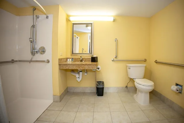 غرفة بسرير كينج لذوي الإعاقة، Hotel Gurnee 5/6