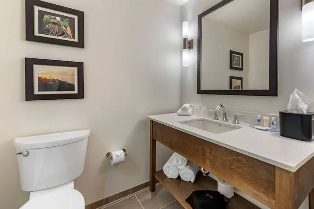 جناح بسرير كينج مع أريكة لذوي الإعاقة، Comfort Inn and Suites Pittsburgh Northshore, PA 3/3
