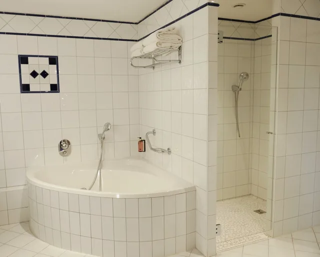غرفة ديلوكس بسرير مزدوج بإطلالة على المتنزه بشرفة، Vichy Celestins Spa Hotel 9/9