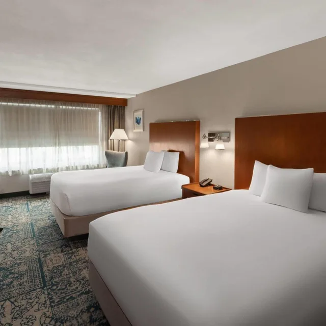 غرفة ديلوكس بسرير كوين لذوي الإعاقة، Wyndham Garden San Antonio Airport Northeast 1/9
