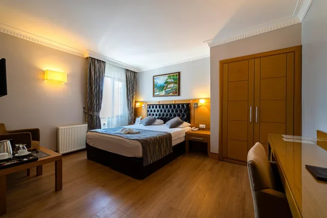غرفة قياسية بسرير مزدوج أو سريرين منفصلين، Levent Hotel 1/10