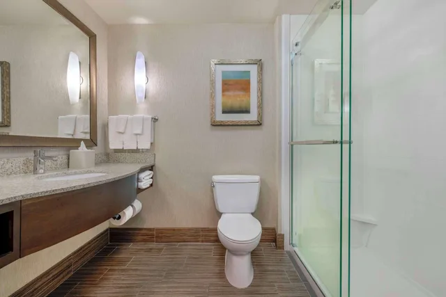Suite, Hilton Garden Inn Boise Spectrum 6/7