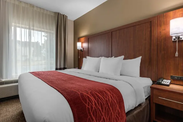 جناح بسرير كينج، Comfort Inn and Suites Montgomery East Carmichael Rd 3/10