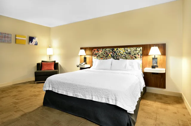 Room, King Bed, Accessible, Hampton Inn Santee-I-95 3/7