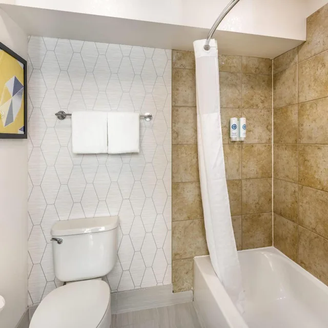 جناح بسرير كوين، Comfort Suites Albuquerque/North Journal Center 9/10