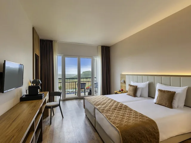 Superior, Double Bed, Balcony, Movenpick Resort and Spa Fruske Terme 3/10