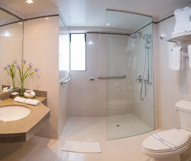 غرفة قياسية مفردة بسرير مزدوج، Los Tallanes Hotel Suites 3/4