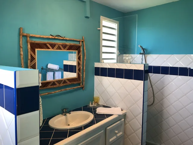 استوديو غراند كبير بسرير كوين بإطلالة على البحر بمطبخ صغير، Habitation Grande Anse 6/6