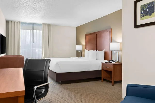 Room, King Bed, Comfort Inn & Suites Taylor - Detroit 3/10