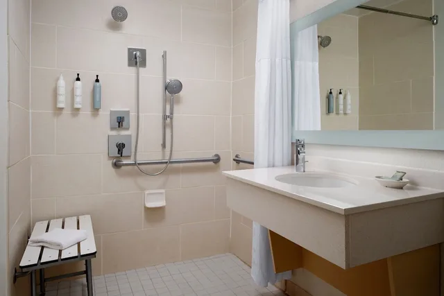 استوديو بسرير كينج مع أريكة لذوي الإعاقة، Springhill Suites by Marriott Austin South 3/5