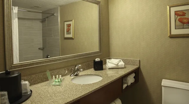 Standard, King Bed, Sofa, DoubleTree by Hilton Dayton Fairborn 2/2