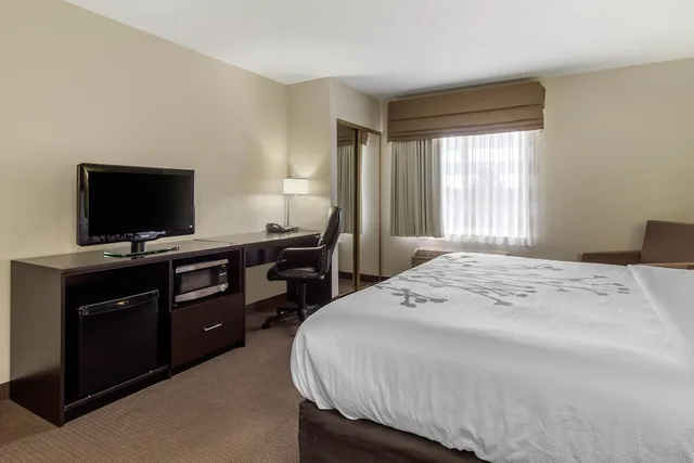 غرفة قياسية بسرير كينج، Sleep Inn & Suites Allendale, MI 2/4