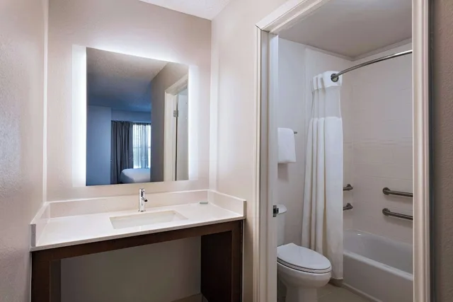 استوديو بسرير كينج مع أريكة، Residence Inn Houston The Woodlands / Lake Front Circle 4/7