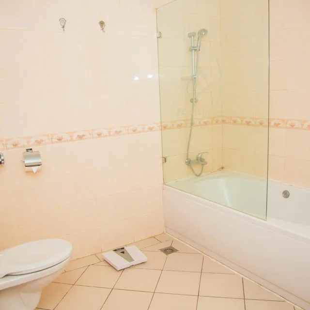 غرفة تنفيذية بسرير كينج، Palace Hotel Arusha 5/5