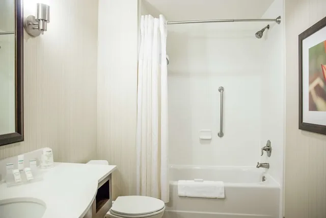 غرفة بسرير كينج لذوي الإعاقة، Hilton Garden Inn Milwaukee Downtown 5/7