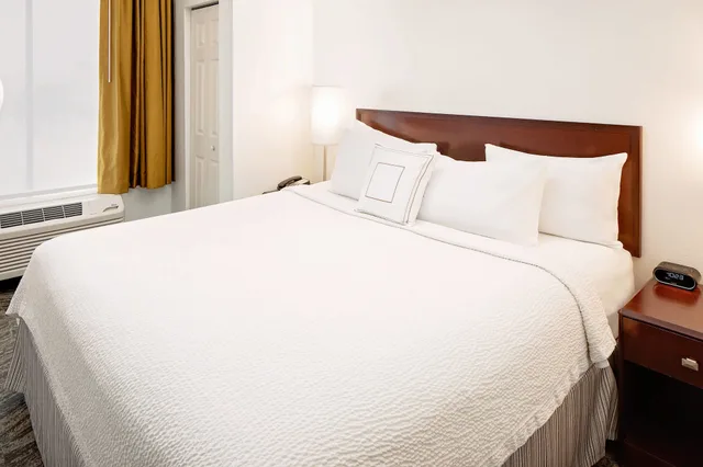 Studio, King Bed, Sofa, SpringHill Suites by Marriott Ardmore 1/4