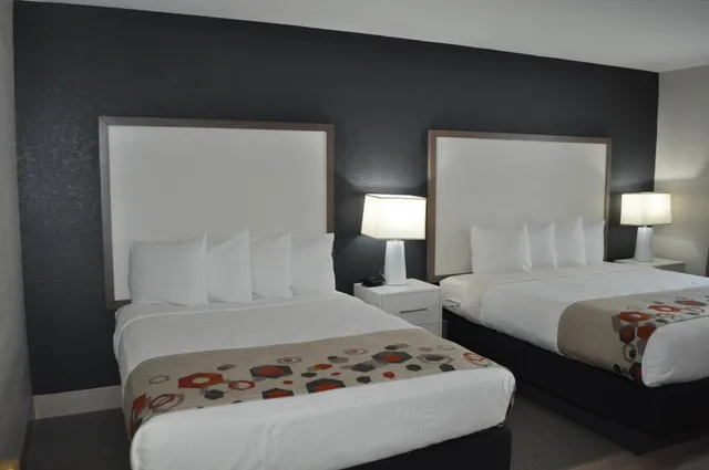 جناح بسرير كينج مع أريكة بمطبخ صغير، Best Western Heritage Inn & Suites 1/2