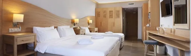Standard, Single Bed, Garden View, Lyttos Beach Hotel 2/3