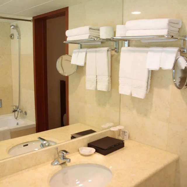 Namsan, Deluxe, Twin Beds, Mountain View، Sejong Hotel 4/4