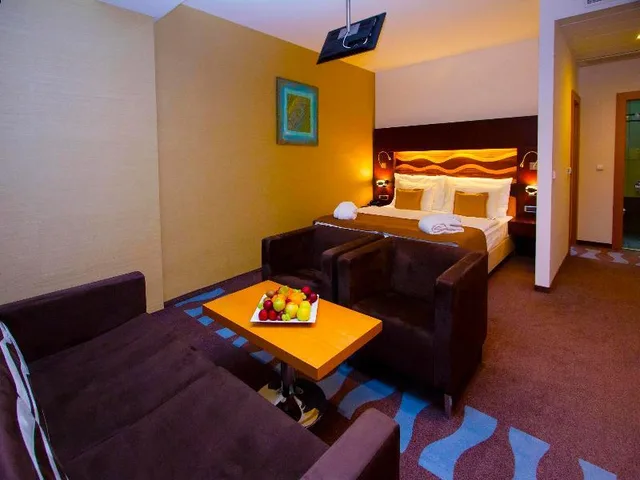 غرفة ديلوكس بسريرين مزدوجين، Danubia Gate Hotel 1/1